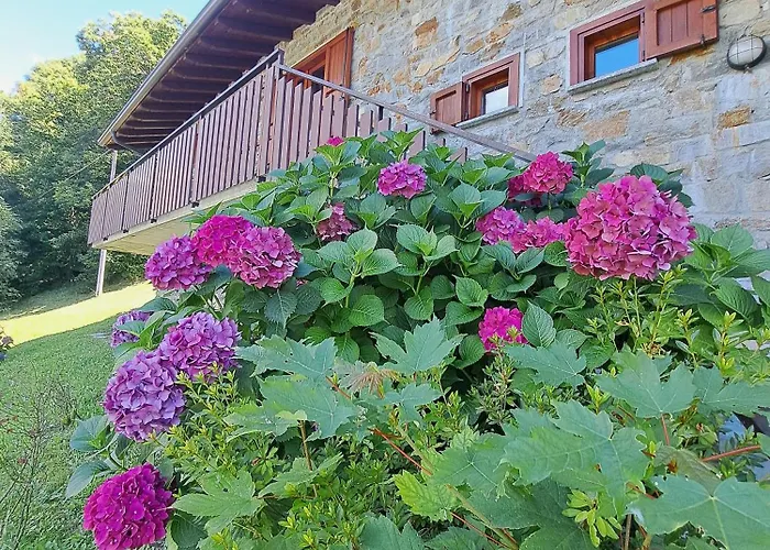 La Rosa Bianca Prázdninový dům