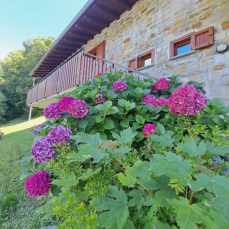Holiday home La Rosa Bianca